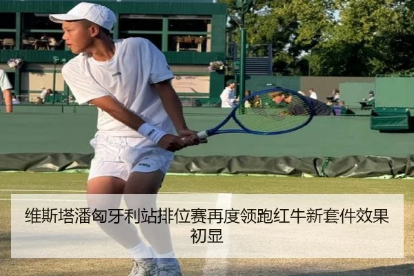维斯塔潘匈牙利站排位赛再度领跑红牛新套件效果初显