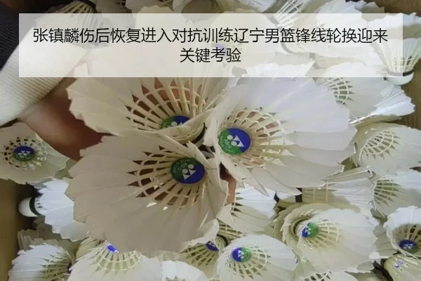 张镇麟伤后恢复进入对抗训练辽宁男篮锋线轮换迎来关键考验